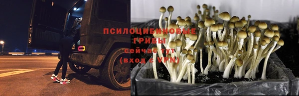 трава Балабаново