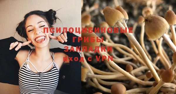 трава Балабаново