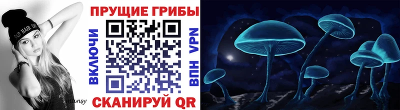 Псилоцибиновые грибы Magic Shrooms мега tor даркнет формула Гремячинск